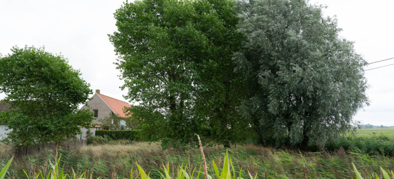 DSC00966