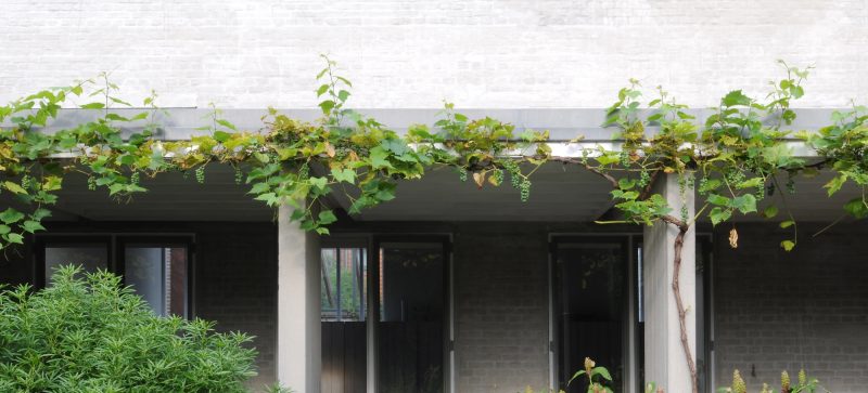 Van Hee House 2008 08 Dg 19